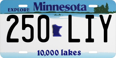 MN license plate 250LIY