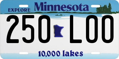 MN license plate 250LOO