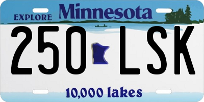 MN license plate 250LSK