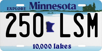 MN license plate 250LSM