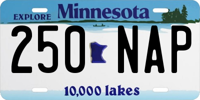 MN license plate 250NAP