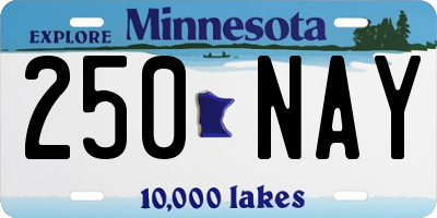 MN license plate 250NAY