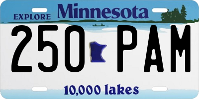 MN license plate 250PAM