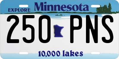 MN license plate 250PNS