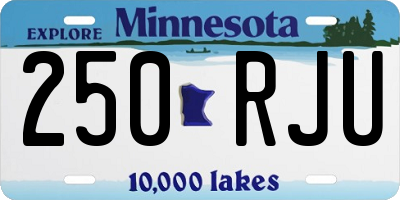 MN license plate 250RJU