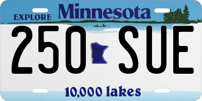 MN license plate 250SUE