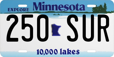 MN license plate 250SUR