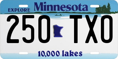 MN license plate 250TXO