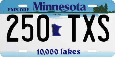 MN license plate 250TXS