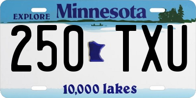 MN license plate 250TXU
