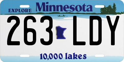 MN license plate 263LDY