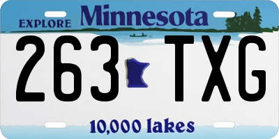 MN license plate 263TXG
