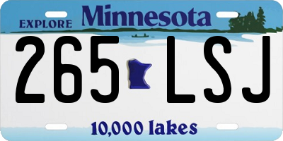 MN license plate 265LSJ