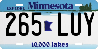 MN license plate 265LUY
