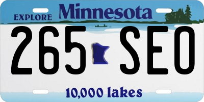 MN license plate 265SEO