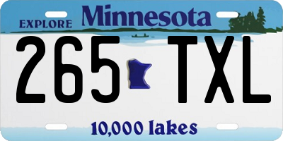 MN license plate 265TXL