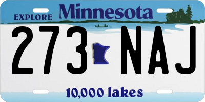 MN license plate 273NAJ