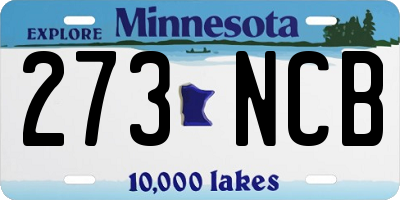MN license plate 273NCB