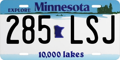 MN license plate 285LSJ