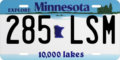 MN license plate 285LSM