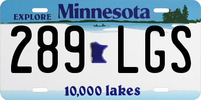 MN license plate 289LGS