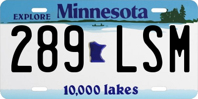MN license plate 289LSM