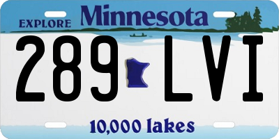 MN license plate 289LVI
