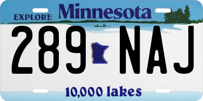 MN license plate 289NAJ