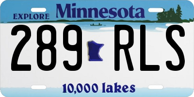 MN license plate 289RLS