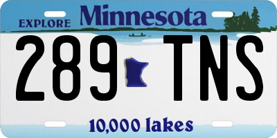 MN license plate 289TNS