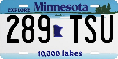 MN license plate 289TSU