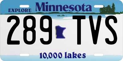MN license plate 289TVS