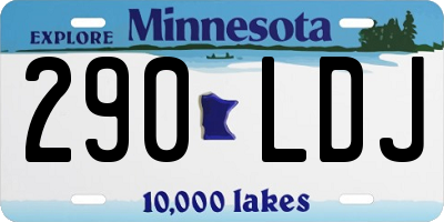 MN license plate 290LDJ