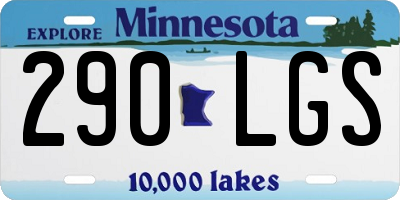 MN license plate 290LGS