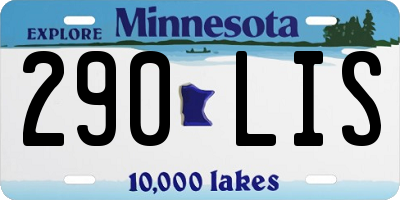 MN license plate 290LIS