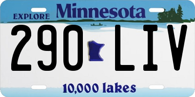 MN license plate 290LIV