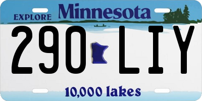 MN license plate 290LIY