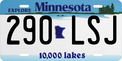 MN license plate 290LSJ