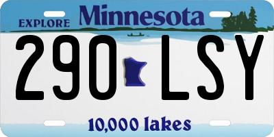 MN license plate 290LSY