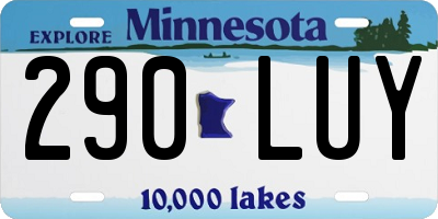 MN license plate 290LUY