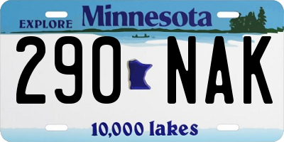 MN license plate 290NAK