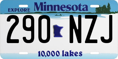 MN license plate 290NZJ