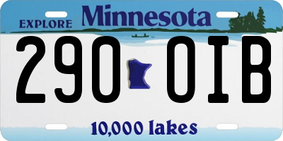 MN license plate 290OIB