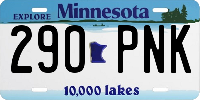 MN license plate 290PNK