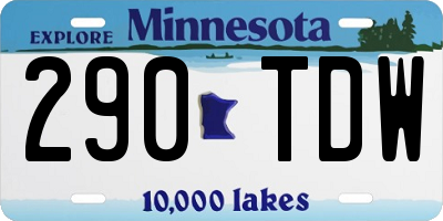 MN license plate 290TDW