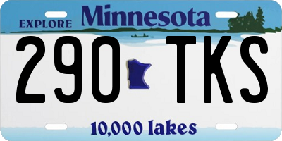 MN license plate 290TKS