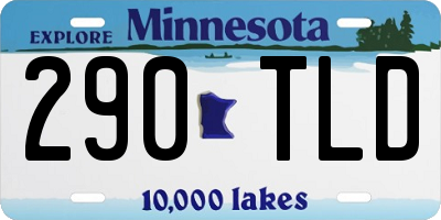 MN license plate 290TLD