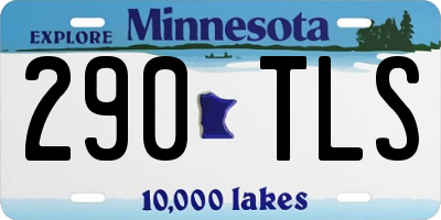 MN license plate 290TLS