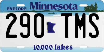 MN license plate 290TMS