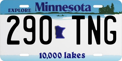MN license plate 290TNG